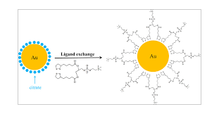 Gold Nanoparticles (20 nm) — PEG Thiol Functional
