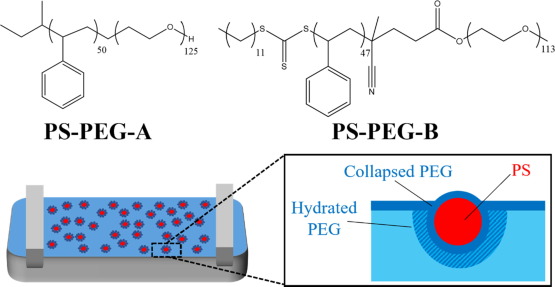 Polystyrene-block-PEG (Block Copolymer)